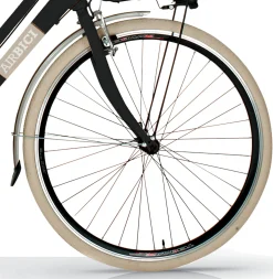 Bicicleta De Ciudad Airbici 605 Elegance