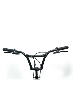 Bicicleta Junior 20