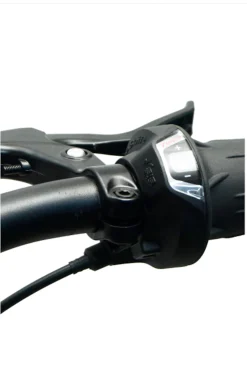 Bicicleta Junior 24