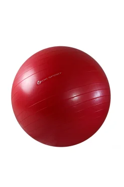 Fitball 65cm