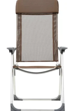 Silla De Jardín Vidaxl 2 Piezas